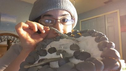 Meet the Zendle Garden, ASMR’s newest friend (hopefully)!