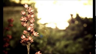 Soft spoken ASMR/ English and Hebrew/Reading a book