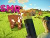 THE MOST RELAXING ASMR MINECRAFT EVER | ASMR Series
