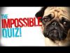 WITH A GUEST | The Impossible quiz [ASMR w/t BOB ROSS]