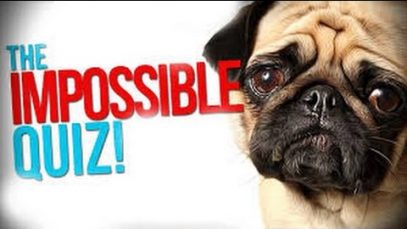 WITH A GUEST | The Impossible quiz [ASMR w/t BOB ROSS]