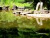 Zen Buddhist Garden Relaxing Beautiful Scenes [ASMR]