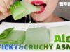 ALOE ASMR NO TALKING EATING SOUNDS *STICKY+SLIMY+CRUNCHY* (Mukbang Korean) l 알로에 리얼사운드 먹방