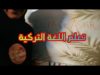 Arabic ASMR Learning Turkish Language • تعلم التركية بسهولة • فيديو للاسترخاء والنوم