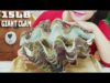 ASMR 15LB GIANT CLAM , CHEWY CRUNCHY EATING SOUNDS | LINH-ASMR