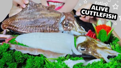 ASMR ALIVE CUTTLEFISH (SASHIMI X STIR FRIED CUTTLEFISH WITH GLASS NOODLES X DEEP FRIED CUTTLEFISH)