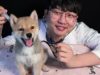 ASMR? Animal Hospital (with SHIBA)