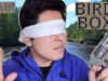 [ASMR] Bird Box Role Play! (WARNING)