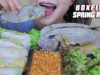 ASMR BOXFISH SPRING ROLLS (EXOTIC FOOD) CHEWY EATING SOUNDS | LINH-ASMR