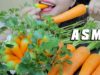 ASMR CARROT MUNG BEAN CAKES , SOFT CRUNCHY EATING SOUNDS | LINH-ASMR