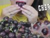 ASMR CHERRY AND CHERRY JELLY , CRUNCHY EATING SOUNDS | LINH-ASMR