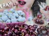 ASMR CHERRY PLATTER (FROZEN CHERRY+CANDIED TANGHULU) EATING SOUNDS | LINH-ASMR