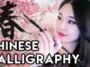[ASMR] Chinese Calligraphy and Brush Sounds (Seasons)