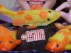 ASMR Chinese fish cake , CHEWY STICKY EATING SOUNDS | LINH-ASMR