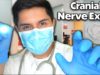 ASMR | Classic Cranial Nerve Examination Role Play