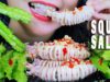 ASMR COOKING POINTED TAIL SQUID SPICY SALAD WITH WINGED BEANS, CRUNCHY EATING SOUNDS | LINH-ASMR