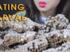 ASMR COOKING WASP LARVAE (PORRIDGE WITH LARVAE AND FRIED EGGS) EATING SOUND | LINH-ASMR 먹방 mukbang