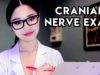 [ASMR] Cranial Nerve Exam Roleplay (Soft Spoken)