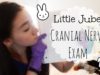 ASMR | Cranial Nerve Exam w/ Little Jubes