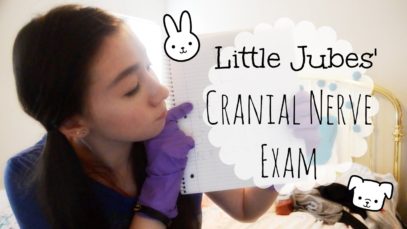 ASMR | Cranial Nerve Exam w/ Little Jubes
