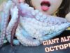 ASMR EATING ALIVE GIANT OCTOPUS WITH SPICY SAUCE EATING SOUNDS | LINH-ASMR 먹방