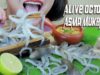 ASMR EATING ALIVE OCTOPUS (EXOTIC FOOD) EXTREME CHEWY EATING SOUNDS | LINH-ASMR