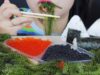 ASMR EATING BLACK – RED SALMON EGGS, SEA GRAPES, ONIGIRI, KIMBAP EATING SOUND | LINH-ASMR