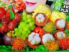ASMR EATING FRUITS PLATTER (RATTAN,RAMBUTAN ,GRAPES, PINEAPPLE, WATER APPLES, MANGOSTEEN) |LINH-ASMR