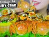 ASMR EATING HONGKONG HAIRY CRABS EATING SOUNDS | LINH-ASMR