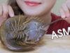 ASMR EATING HORSESHOE CRAB (EXOTIC FOOD), SOFT CRUNCHY EATING SOUNDS 먹방 | LINH-ASMR