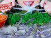 ASMR EATING LIVE OCTOPUS X SEA GRAPES , CRUNCHY CHEWY EATING SOUNDS | LINH-ASMR