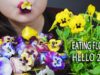 ASMR EATING PANSY FLOWERS PLATTER AND HAPPY NEW YEAR 2020 EDIBLE FLOWERS  EATING SOUND | LINH-ASMR