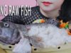 ASMR EATING RAW BLUE SPOTTED GROUPER FISH EATING SOUND | LINH-ASMR 먹방 mukbang