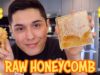 [ASMR] Eating Raw Honeycomb! (For the First Time)