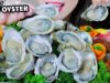 ASMR EATING RAW MILK OYSTERS X WASABI CHILI SAUCE X SWEET SOUR FISH SAUCE ,EATING SOUNDS | LINH-ASMR