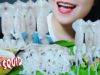 ASMR EATING RAW SQUID PLATTER CRUNCHY CHEWY EATING SOUNDS | LINH-ASMR #LINHASMR