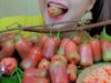 ASMR eating Water apples | LINH-ASMR