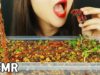 ASMR EDIBLE Soil Earthworm 흙 지렁이 먹방  土壌ミミズ 蚯蚓 ไส้เดือนดิน giun đất tanah
