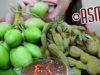ASMR EXTREME SOUR MANGO & TAMARIND in Thai Shrimp Paste Dipping,CRUNCHY EATING SOUNDS | LINH-ASMR