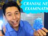 [ASMR] Funny Cranial Nerve Examination! (Dumb Doctor Role Play)