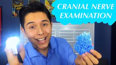 [ASMR] Funny Cranial Nerve Examination! (Dumb Doctor Role Play)
