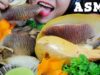 ASMR GIANT KING SNAIL (MELO MELO) WITH OYSTER MUSHROOM EATING SOUNDS | LINH-ASMR