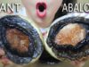 ASMR GIANT RAW ABALONE – AUSTRALIAN BLACK ABALONES CRUNCHY EATING SOUNDS | LINH-ASMR