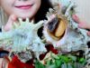 ASMR Giant sea snail, chewy EATING SOUNDS | LINH-ASMR