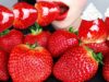ASMR GIANT STRAWBERRY 대왕 딸기 생크림, 딸기 탕후루 먹방 WHIPPED CREAM, CANDIED FRUITS TANGHULU MUKBANG EATING