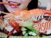 ASMR Grilled and steamed giant River Prawns, EXTREME CHEWY EATING SOUNDS | LINH-ASMR