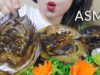 ASMR GRILLED ASIAN HORSESHOE CRAB EATING SOUNDS | LINH-ASMR 먹방 gulp mukbang