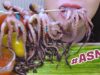 ASMR Grilled Octopus , Satisfying chewy EATING SOUNDS | LINH-ASMR