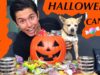 ASMR HALLOWEEN CANDY FEAST! (Eating & Mouth Sounds!)