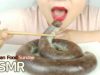 ASMR Korean Stir-Fired Spicy Sundae (Korean Sausage) Eating Sounds 매운순대볶음